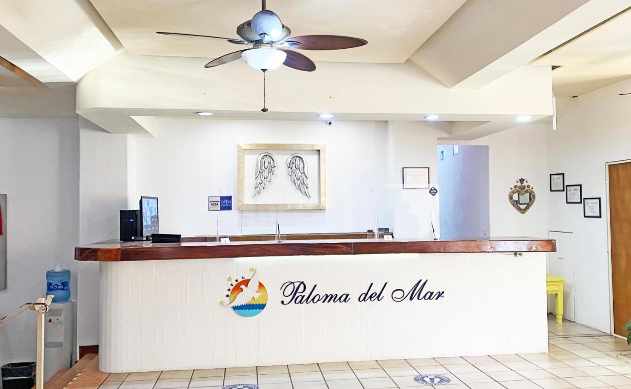 Hotel Paloma del Mar Puerto Vallarta Esterno foto